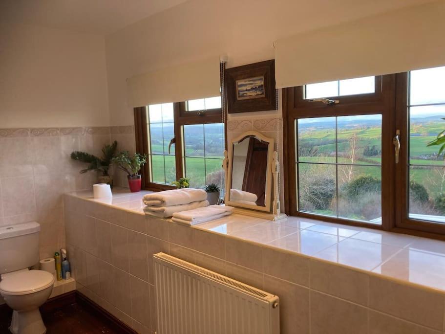 Bryntirion Farmhouse Rooms Llanfair Caereinion 外观 照片