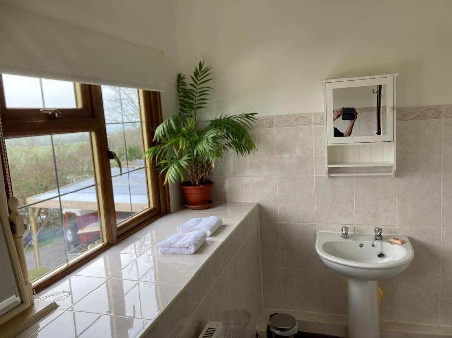 Bryntirion Farmhouse Rooms Llanfair Caereinion 外观 照片